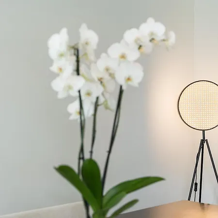 Apartamento Beachfront Matosinhos (Porto)