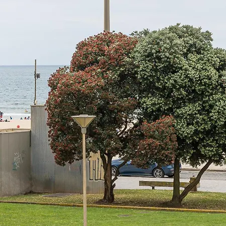 Apartment Beachfront Matosinhos (Porto)