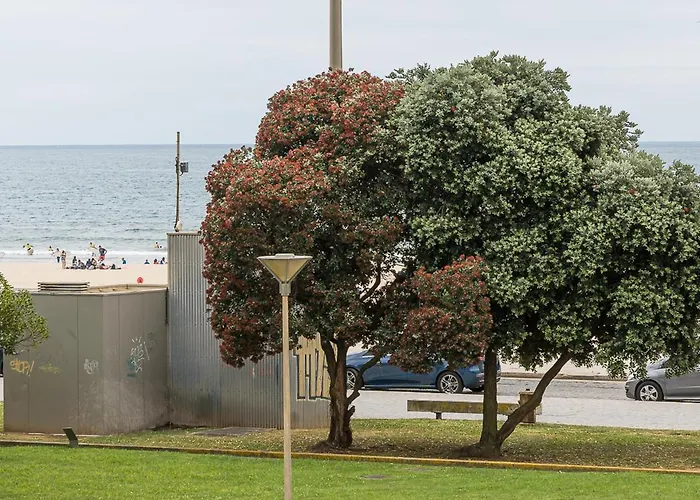 아파트 Beachfront 마토지뉴스